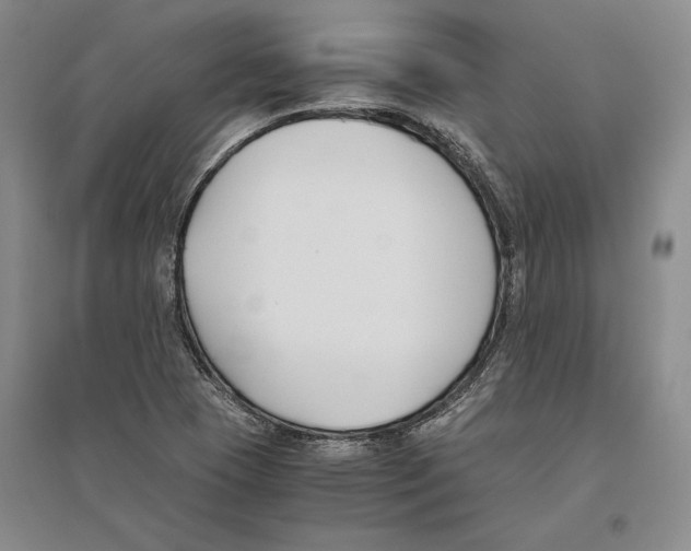 X0000096181409200802151431
