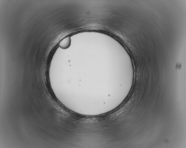 X0000096181410200802151431