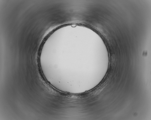 X0000096181412200802151431
