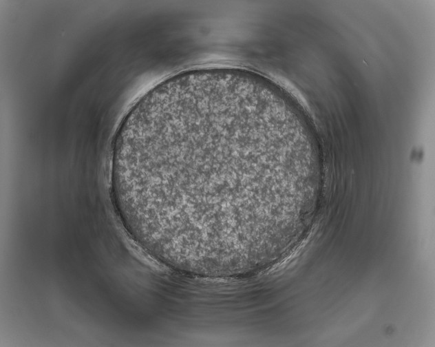 X0000096181413200802151431