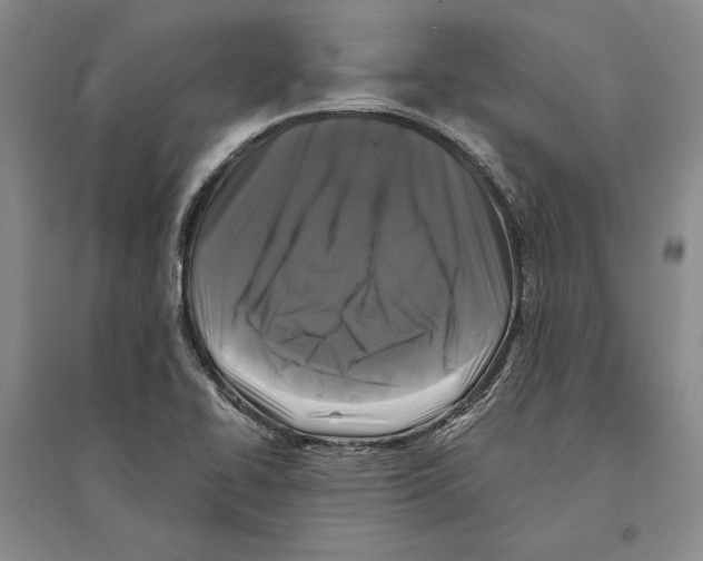 X0000096181414200802151431