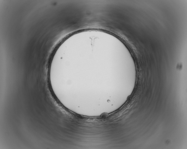 X0000096181416200802151431