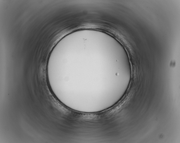 X0000096181417200802151431