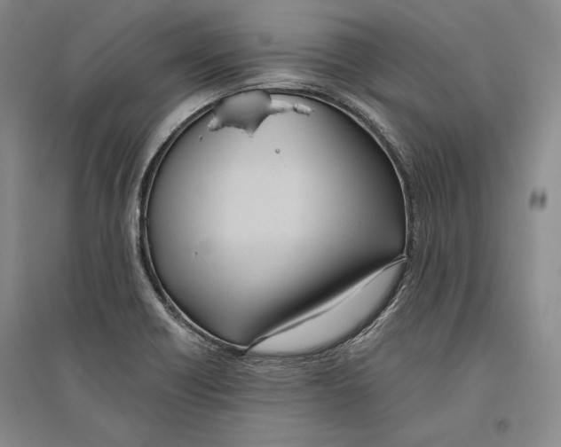X0000096181418200802151431
