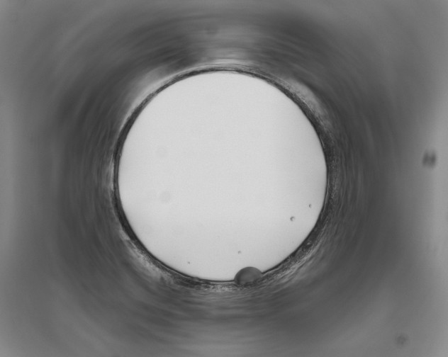 X0000096181420200802151431
