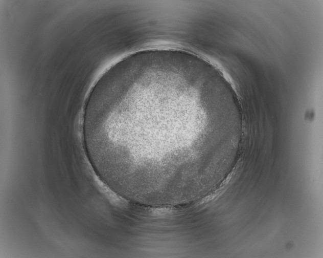 X0000096181421200802151431