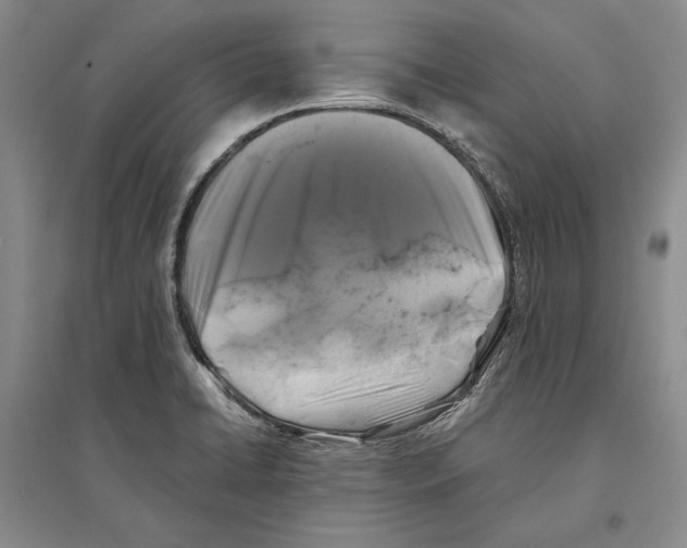 X0000096181422200802151431