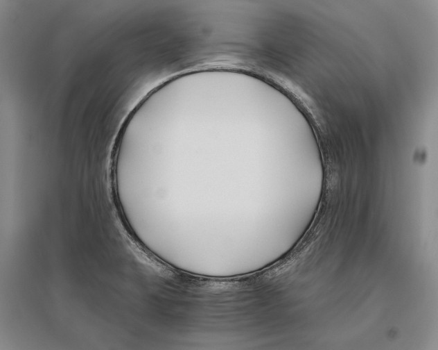 X0000096181423200802151431