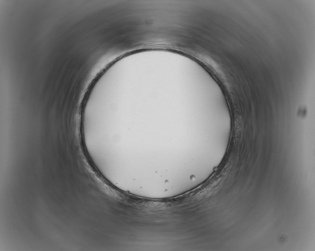 X0000096181424200802151431