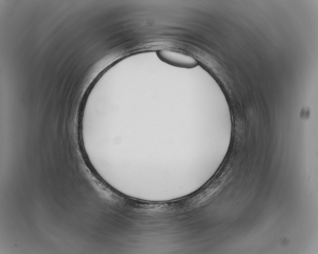 X0000096181426200802151431