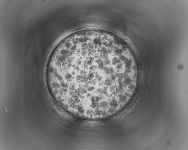 X0000096181427200802151431