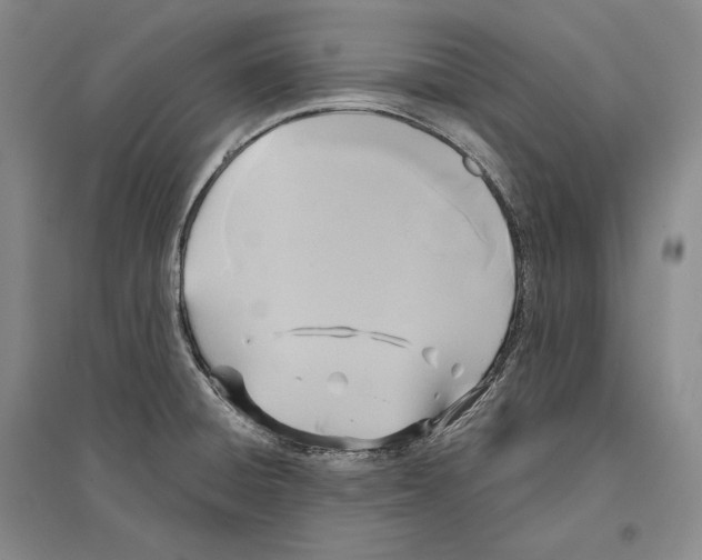 X0000096181428200802151431