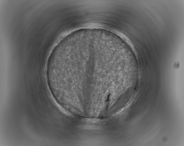 X0000096181429200802151431