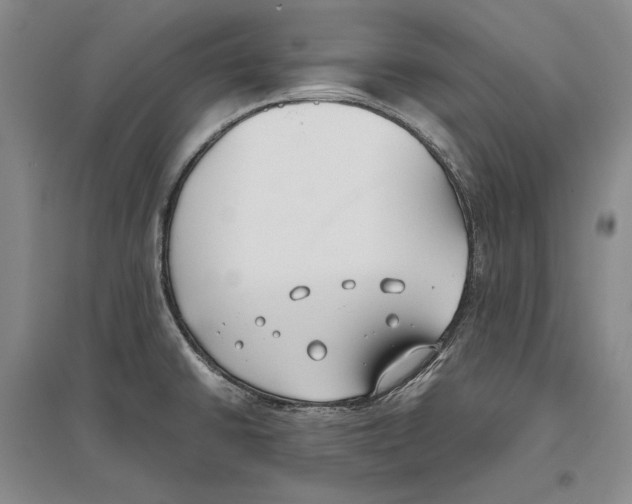 X0000096181430200802151431