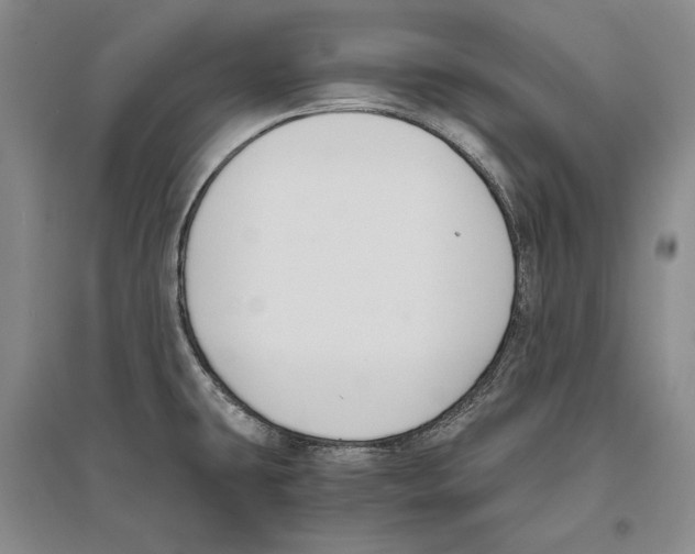 X0000096181431200802151431