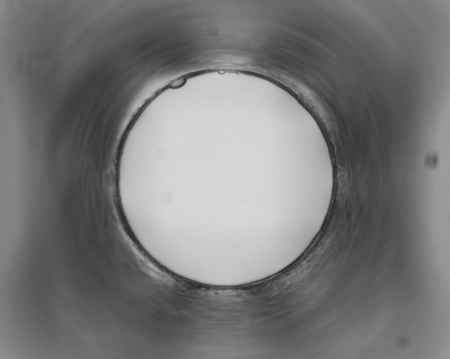 X0000096181432200802151431
