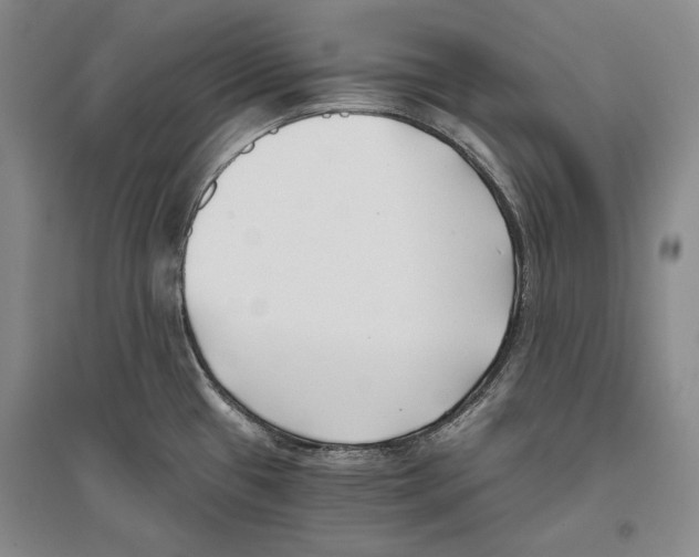 X0000096181433200802151431