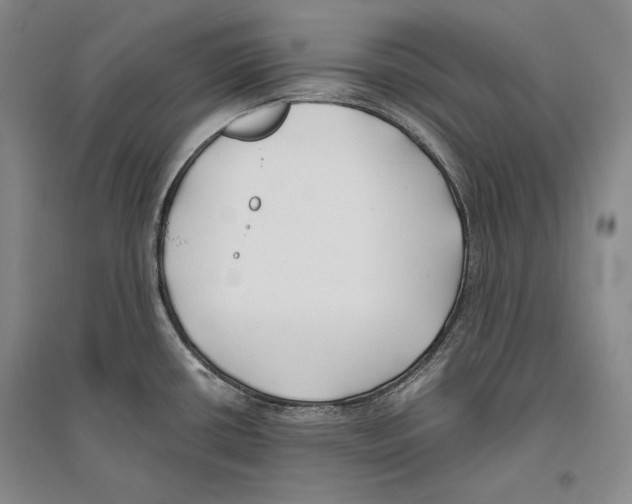 X0000096181434200802151431