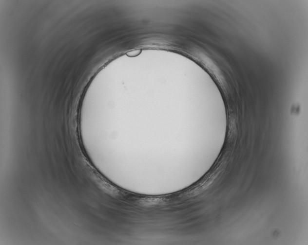 X0000096181435200802151431