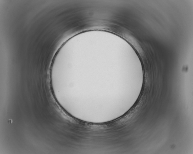X0000096181436200802151431