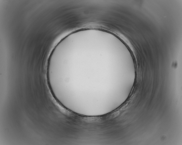 X0000096181437200802151431
