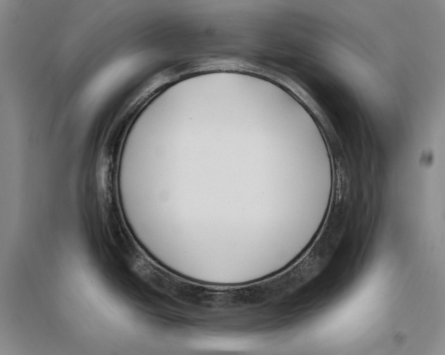 X0000096181438200802151431
