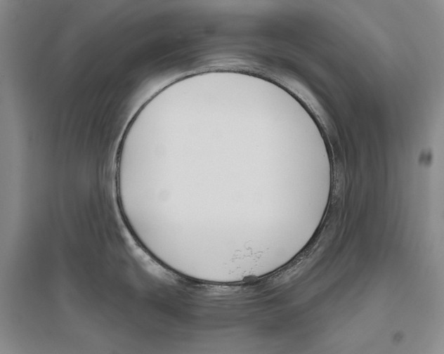 X0000096181439200802151431