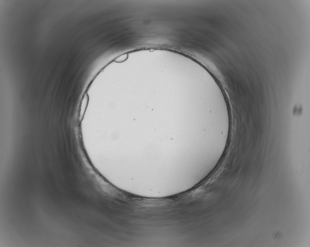 X0000096181440200802151431