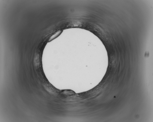 X0000096181442200802151430