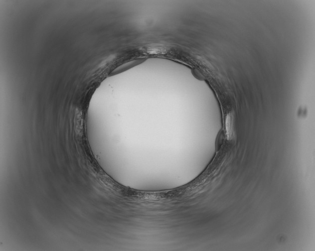 X0000096181443200802151430