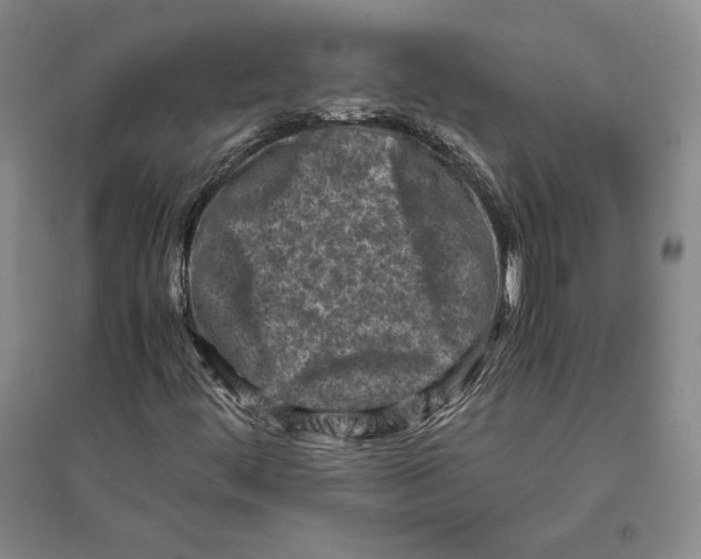 X0000096181444200802151430