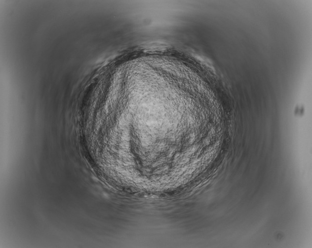 X0000096181445200802151430