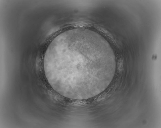 X0000096181446200802151430