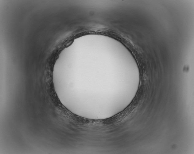 X0000096181447200802151430