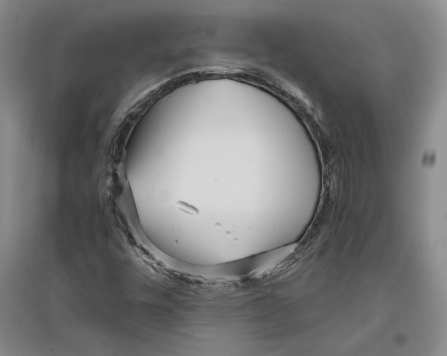X0000096181448200802151430