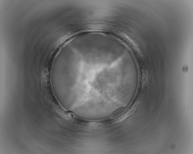 X0000096181449200802151430