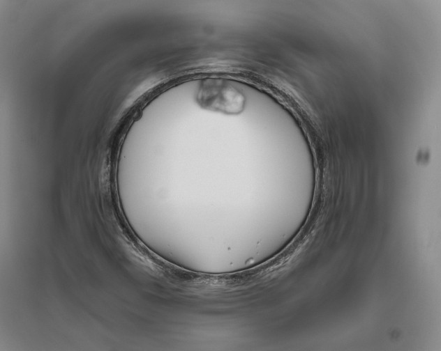 X0000096181450200802151430