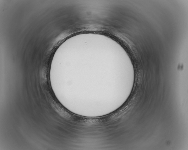 X0000096181451200802151430