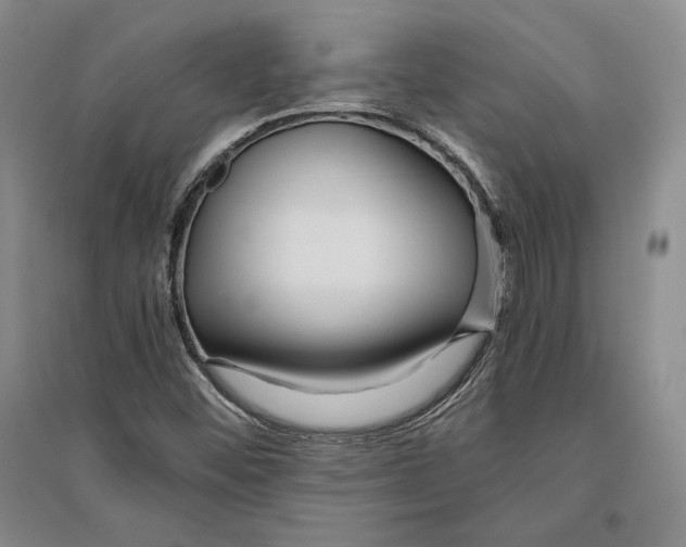 X0000096181452200802151430