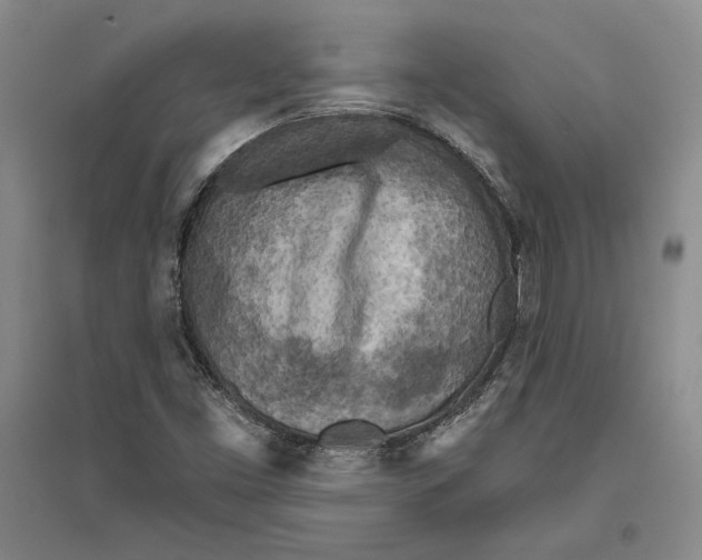 X0000096181453200802151430