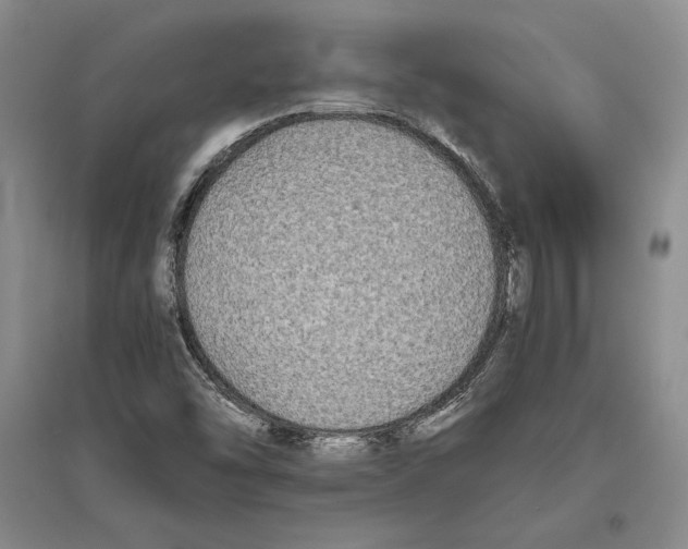 X0000096181454200802151430