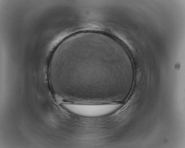 X0000096181455200802151430
