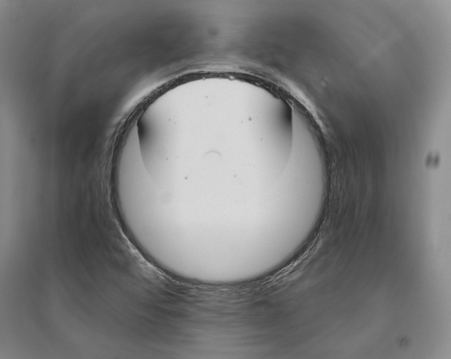 X0000096181456200802151430