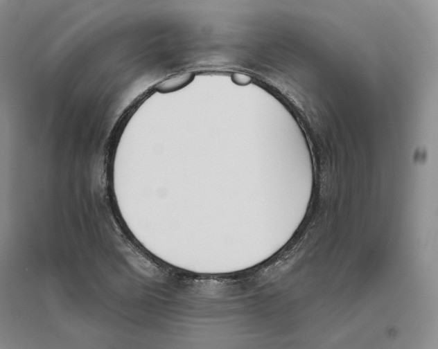 X0000096181458200802151430