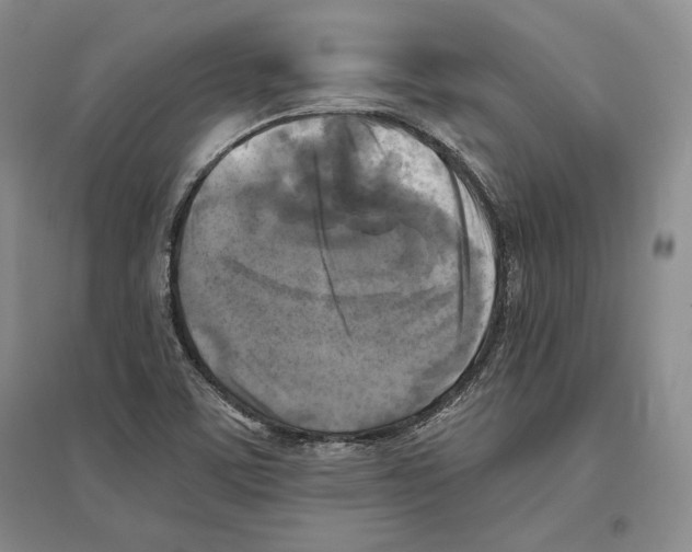 X0000096181459200802151430