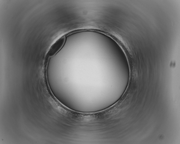 X0000096181460200802151430