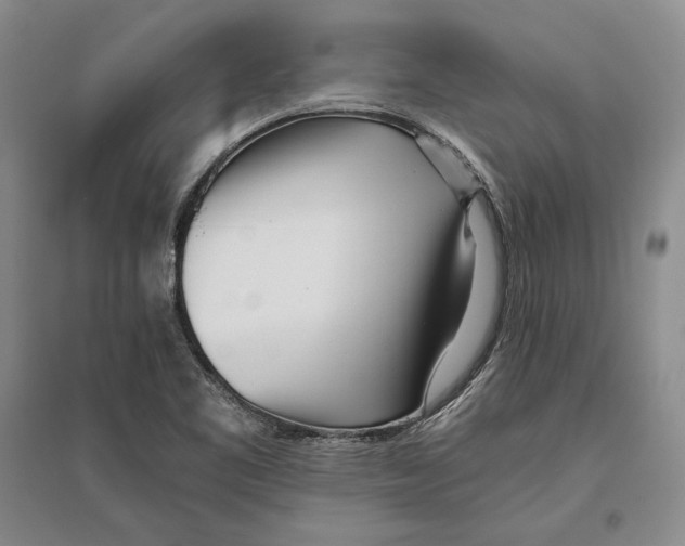 X0000096181461200802151430