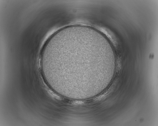 X0000096181462200802151430