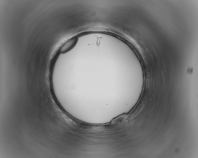 X0000096181464200802151430