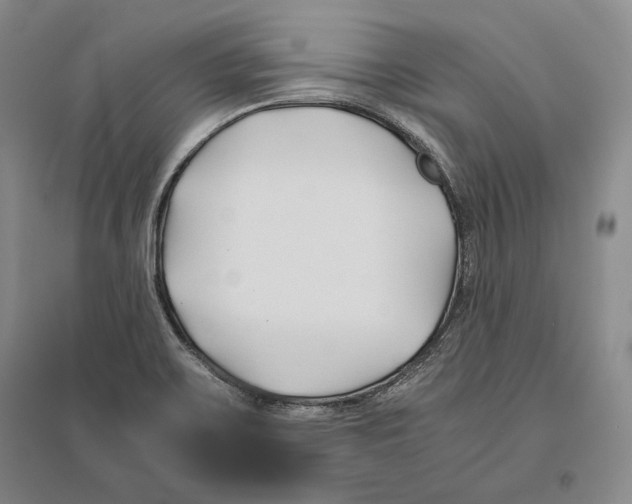 X0000096181467200802151430